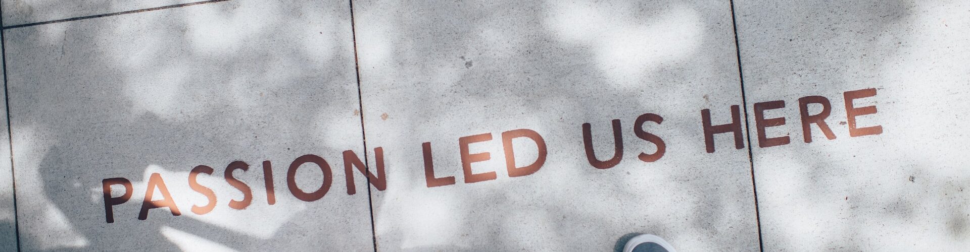 Passion led us here
